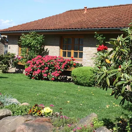 Apartment Weingarten *